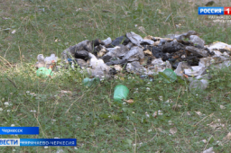 В Черкесске очистили от мусора почти 3 км береговой линии Кубани